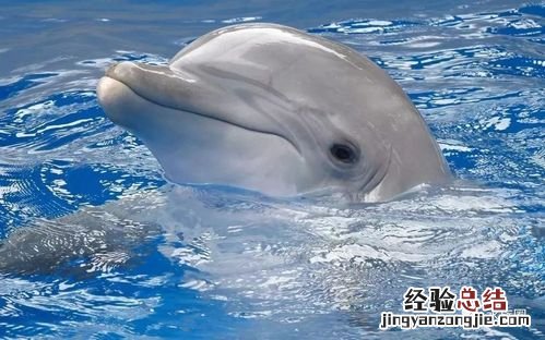 原始生命起源于原始海洋对吗