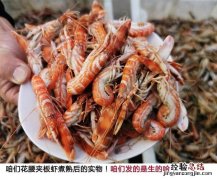 狗虾怎么炒