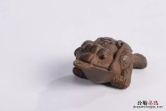 蟾蜍的寓意和象征