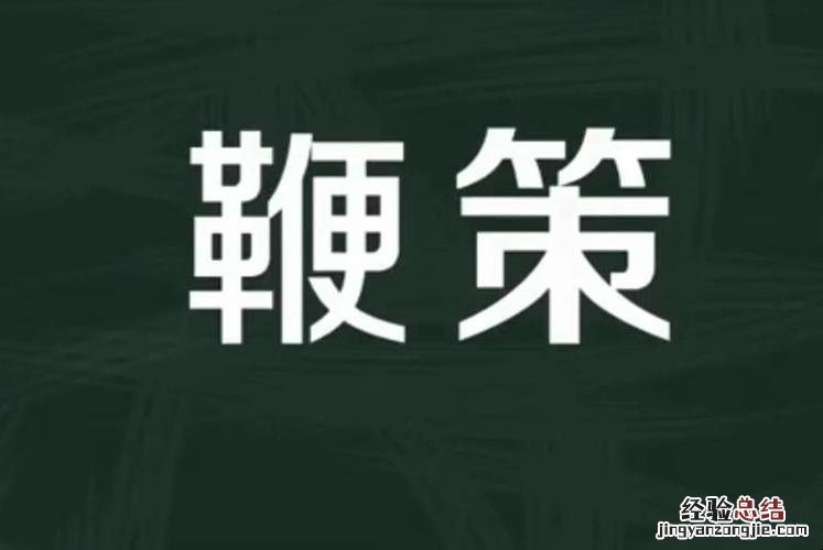 兽系青年是什么意思