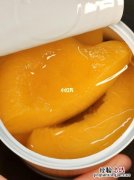 罐头是谁发明的