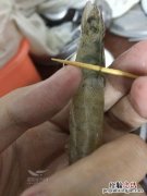虾线如何快速去除