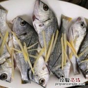 八宝鱼怎么处理鱼鳞