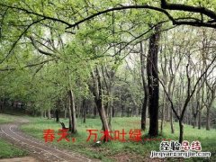 潺潺怎么读