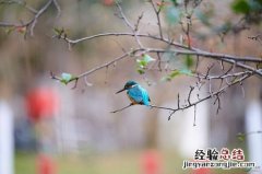 jpg和raw清晰度有区别吗