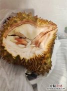 榴莲如何判断熟了没