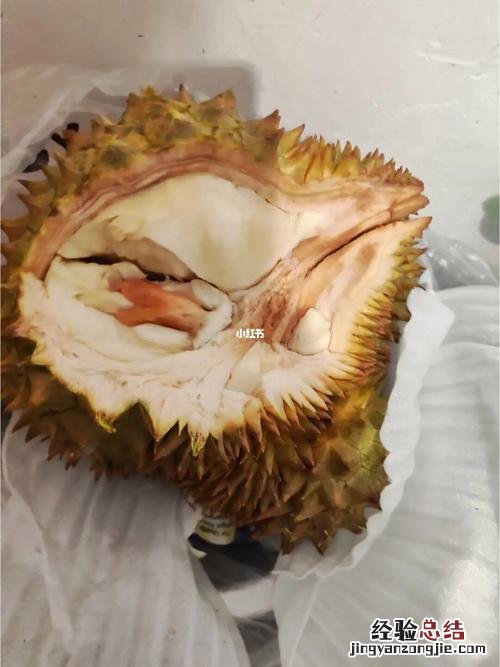 榴莲如何判断熟了没