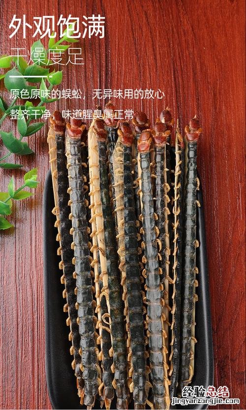 百足虫和蜈蚣的区别