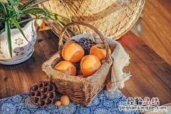 柿子属性
