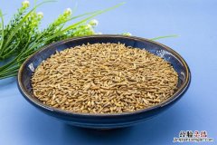 青稞米一般煮多久