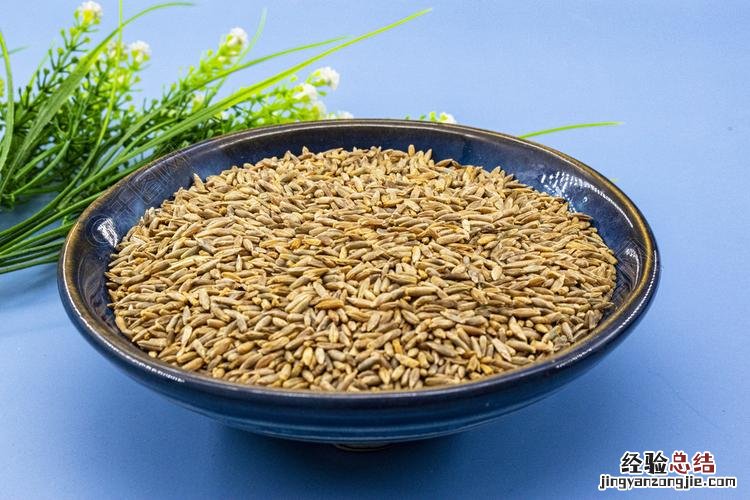 青稞米一般煮多久