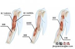 足和什么有关