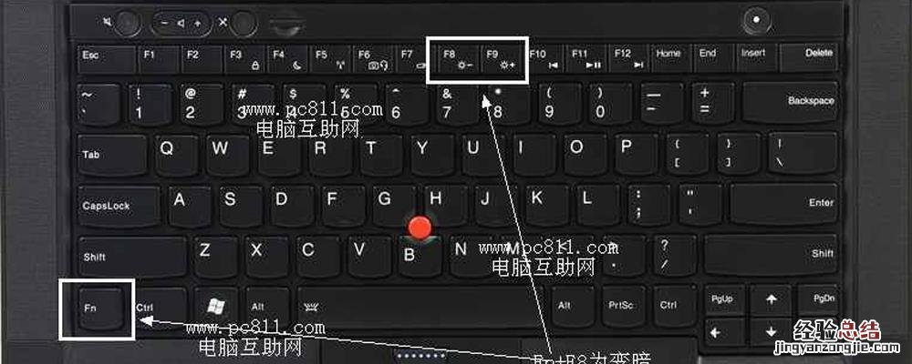 word复制快捷键ctrl加什么