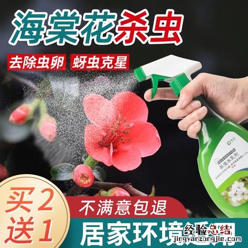 土壤里的蚧壳虫怎样彻底消灭