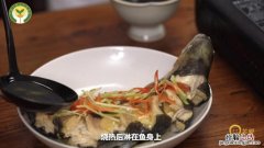 豉油是什么油