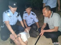 逃蹿和逃窜有什么区别