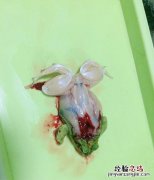青蛙一只手有几根手指