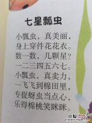七星瓢虫的习性是什么