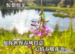 惊蛰祝福语