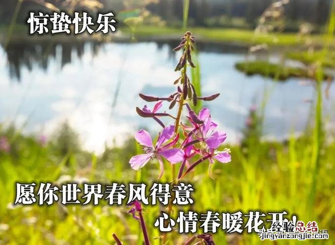惊蛰祝福语