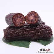 如何判断黑玉米是否染色