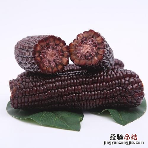 如何判断黑玉米是否染色