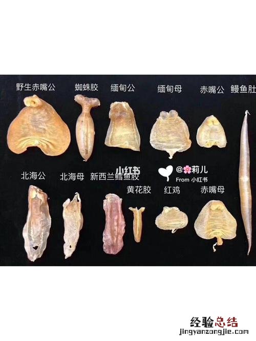 怎样挑选优质的花胶