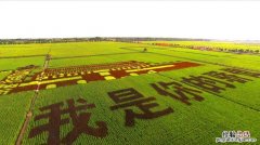 一控两减三基本的内容