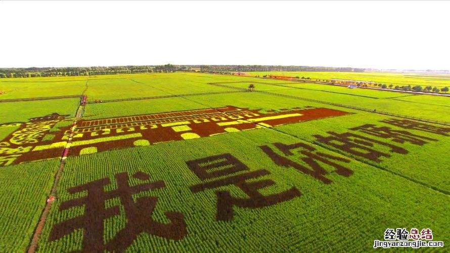 一控两减三基本的内容