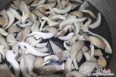凤尾菇怎么炒好吃