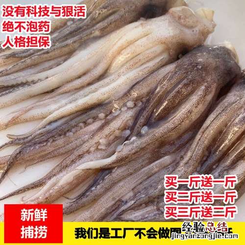 鱿鱼冷冻可以存放多久