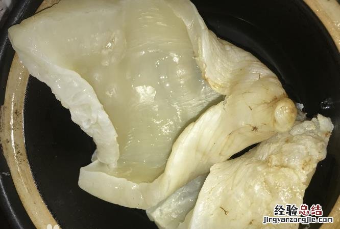 鱼泡是什么