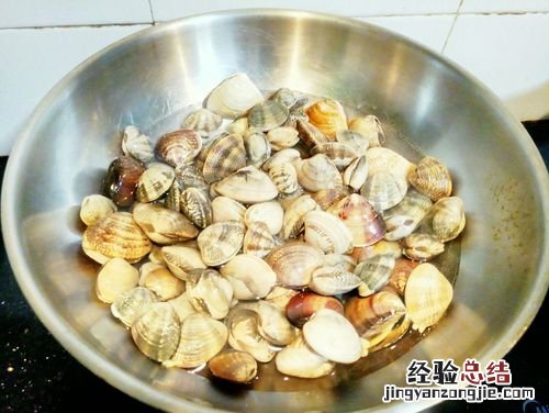 花蛤放清水里能活多久