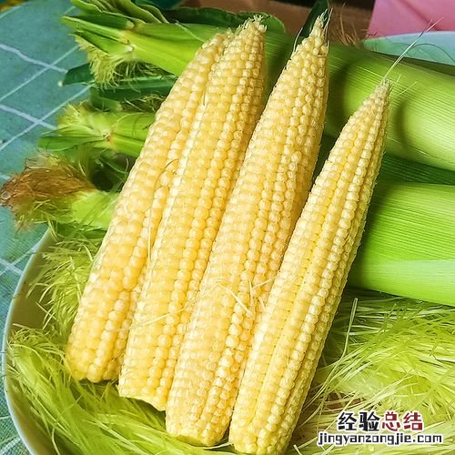 嫩玉米芯怎么做好吃