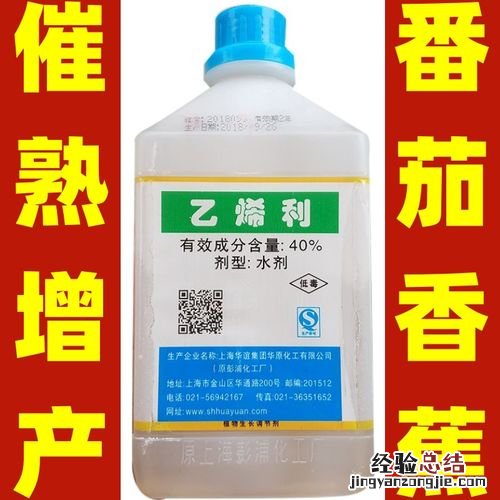 乙烯利催熟的柿子可以食用嘛