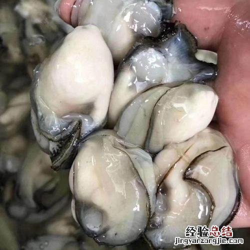 全壳冰冻生蚝怎么做好吃