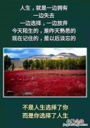 实现人生价值的必由之路是什么