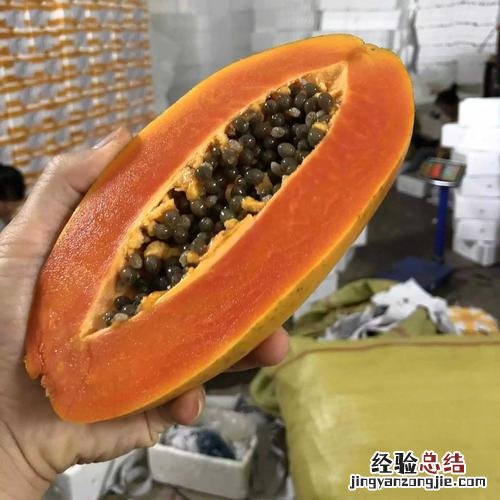青皮红心木瓜怎么算熟