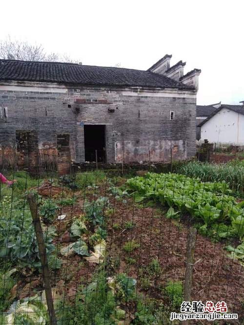 房州是现在的什么地方