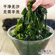 海带是海藻吗