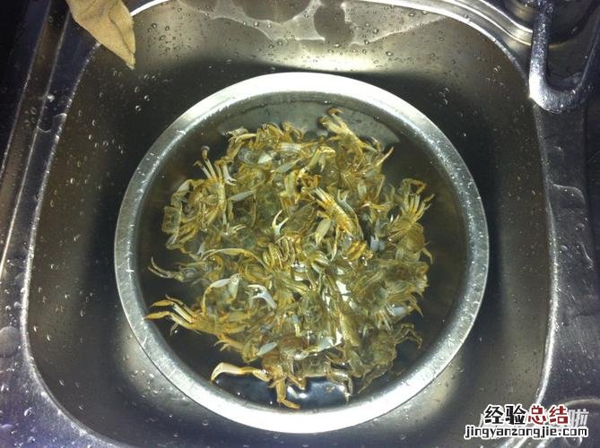 河蟹与毛蟹的区别