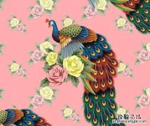 迟姓的由来