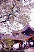 四月是什么季