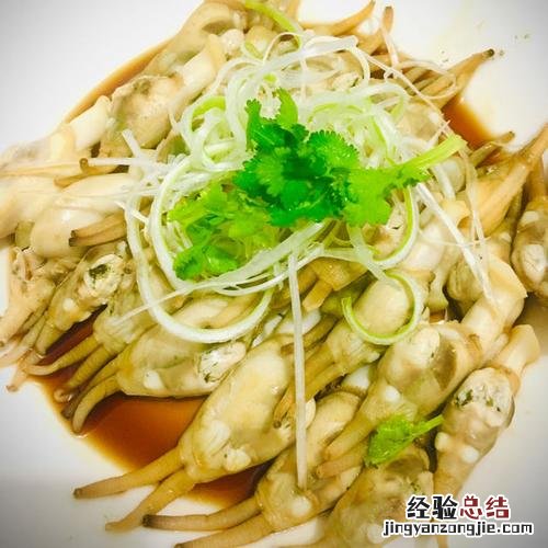 蛏子怎么读