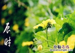 辰时是什么时候
