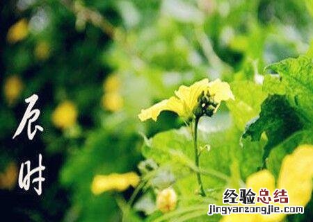 辰时是什么时候