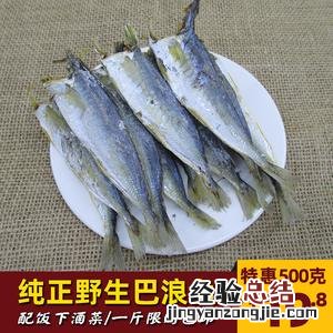 鳀鱼在中国叫什么鱼