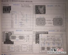 计算机处理数据的基本单位是什么