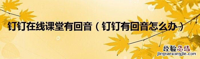 电话有什么回音怎么回事