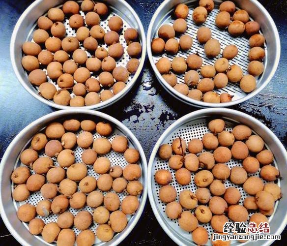 新鲜的龙眼怎么保存